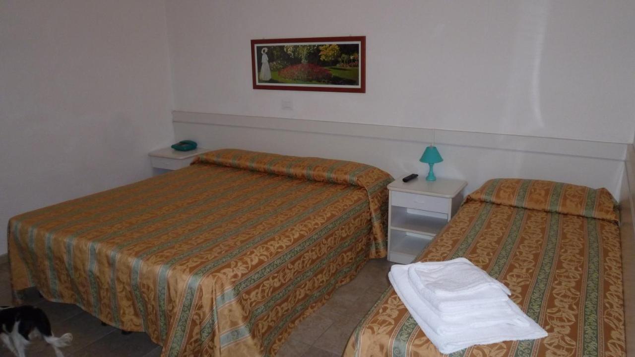 Hotel Zeus Lido Di Classe Room Only 部屋 写真